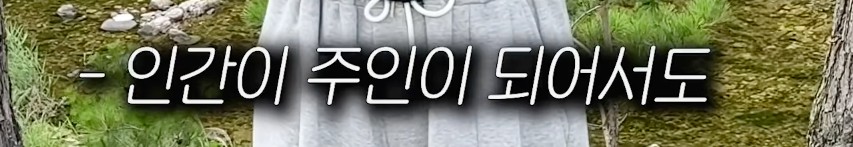 주인공을 찾아서