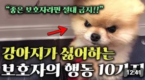 반려동물 진료소_썸네일_04