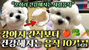 반려동물 진료소_썸네일_01