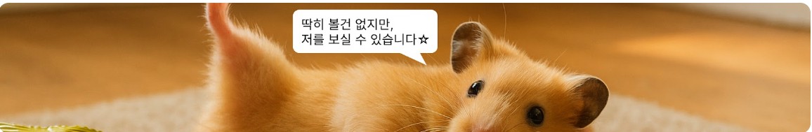 귀여운 햄스터