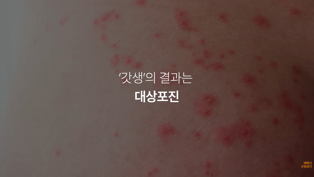 고급스러운 효과자막