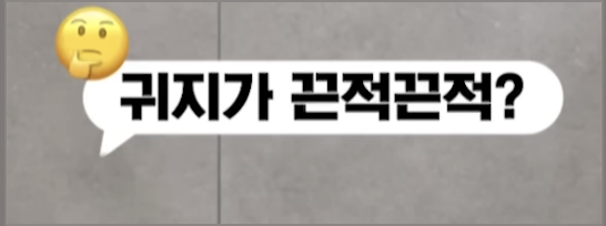 말풍선 질문형 자막