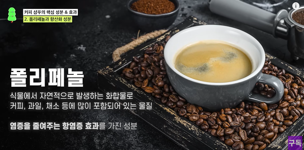 노션 레퍼런스 #79