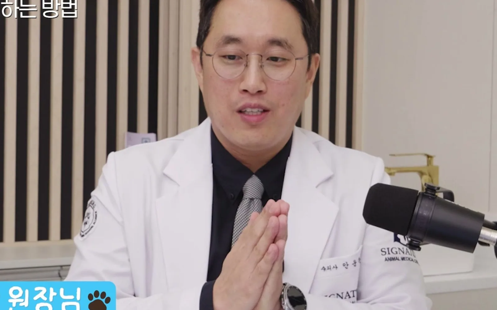자두씨 삼킨 강아지, 멀쩡해 보여도 당장 응급실 가야 한다