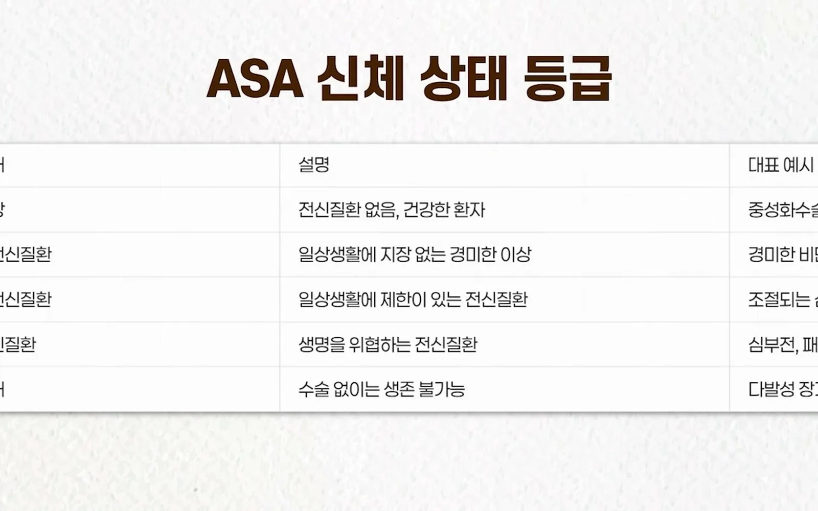 노령견 전신마취 두려워 치과 치료 미루면 생기는 일