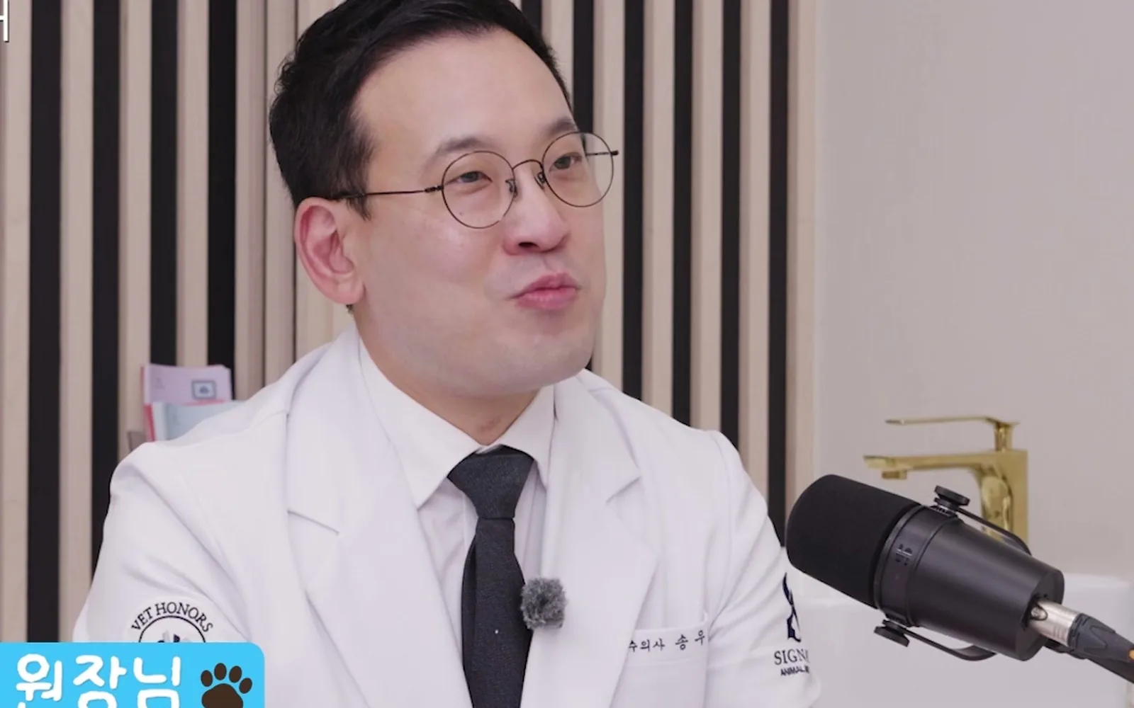 강아지 항암치료, 고통스러운 시간만 늘어나는 걸까