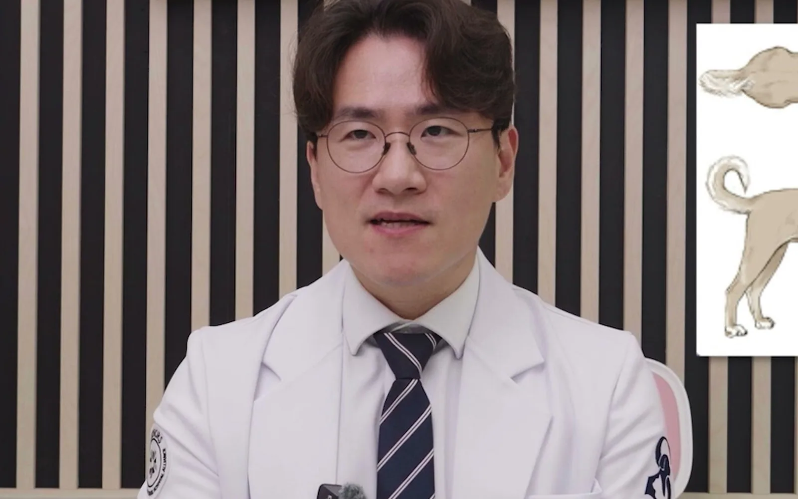 사료 줄여도 살찌는 반려견, 노화 아닌 질환일 수 있다