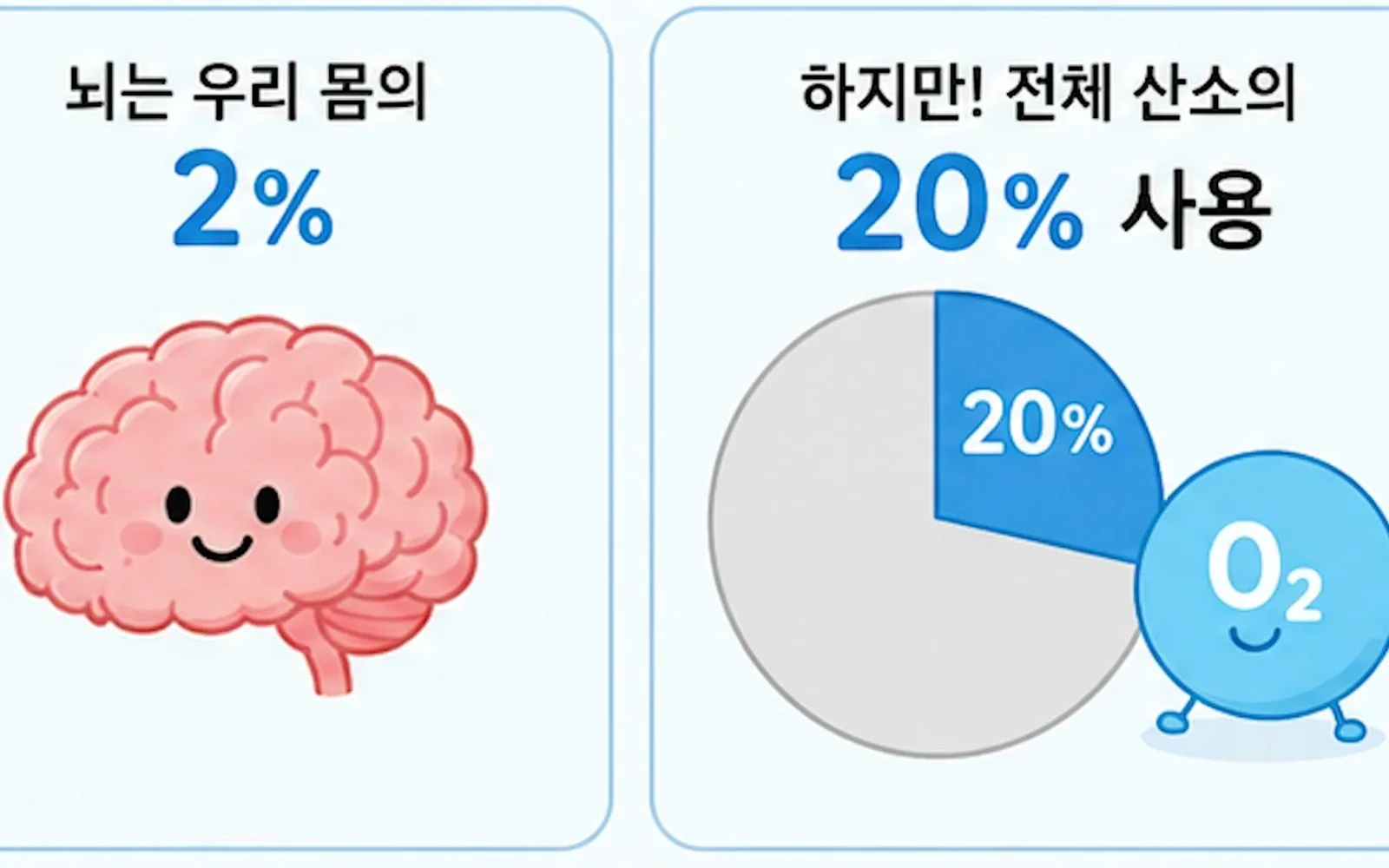 숨만 쉬는데 피로 풀리는 고압산소, 일반 호흡과 다르다