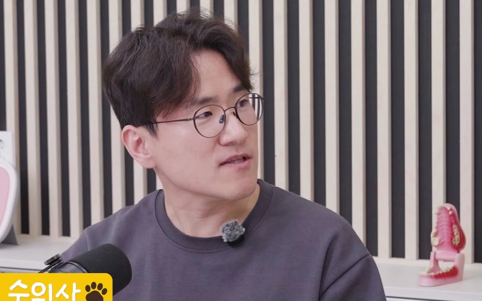 강아지 암 방사선 치료, 사람처럼 매번 마취할까?