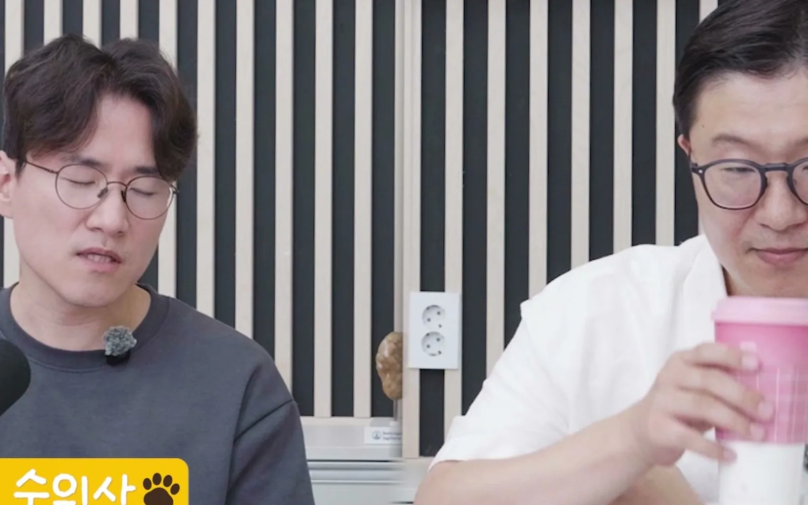 강아지 암 방사선 치료, 사람처럼 매번 마취할까?