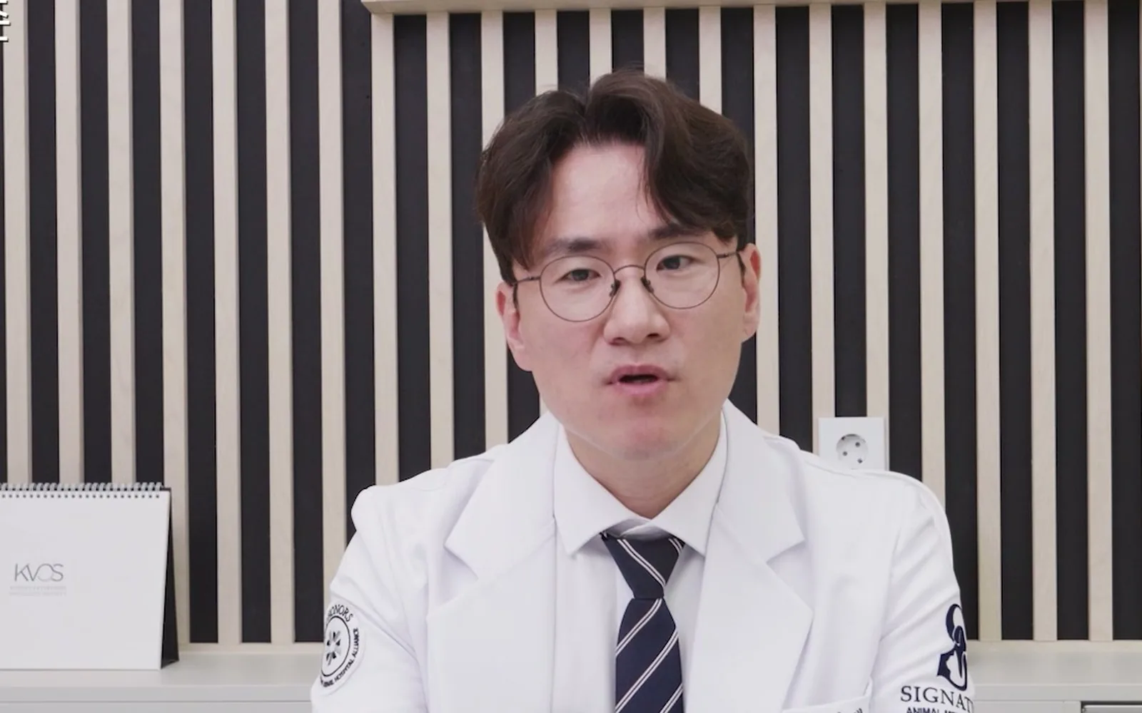 밥 못 먹고 앓는 반려견, 안락사 결정 전 확인해야 할 7가지