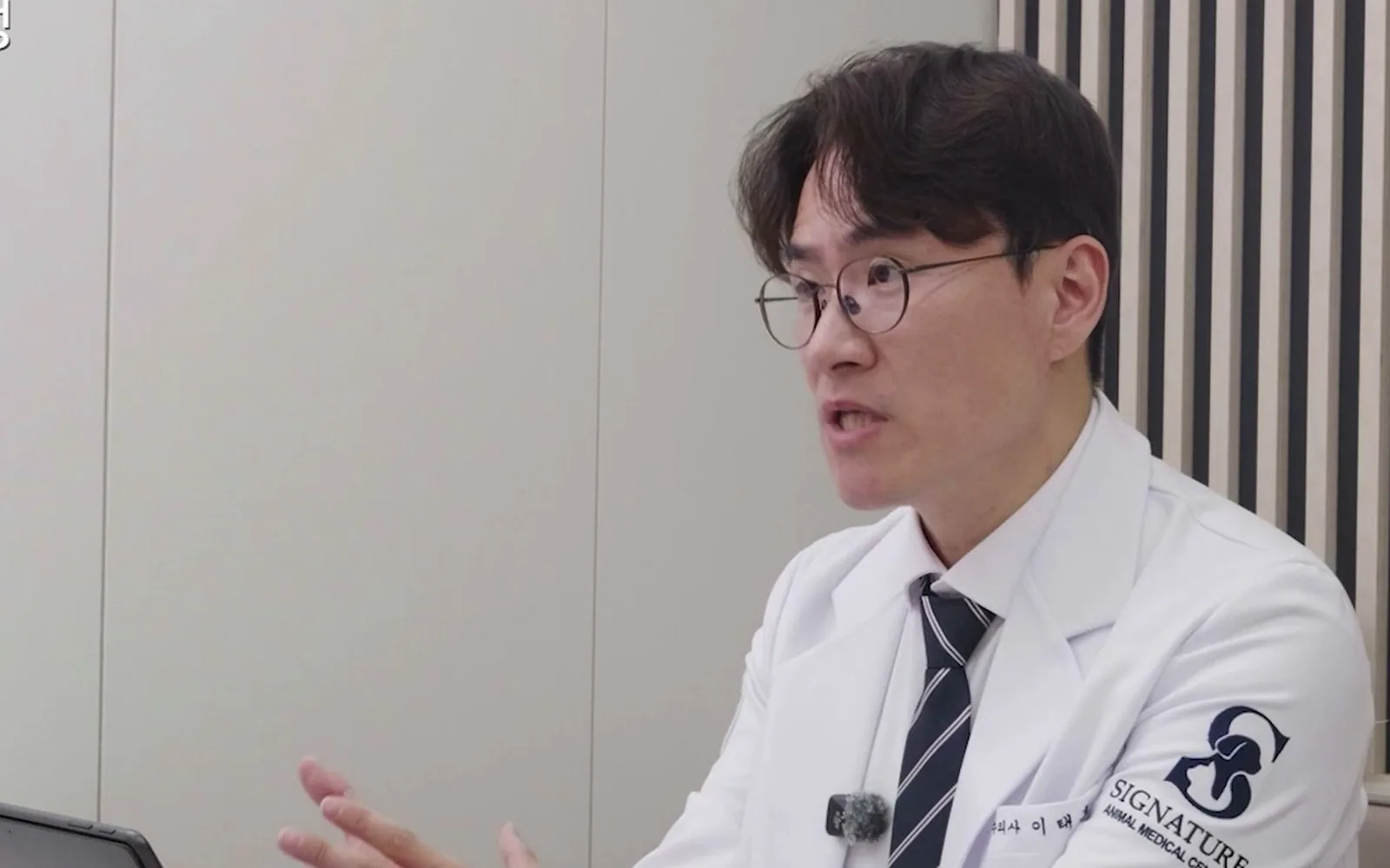 밥 못 먹고 앓는 반려견, 안락사 결정 전 확인해야 할 7가지