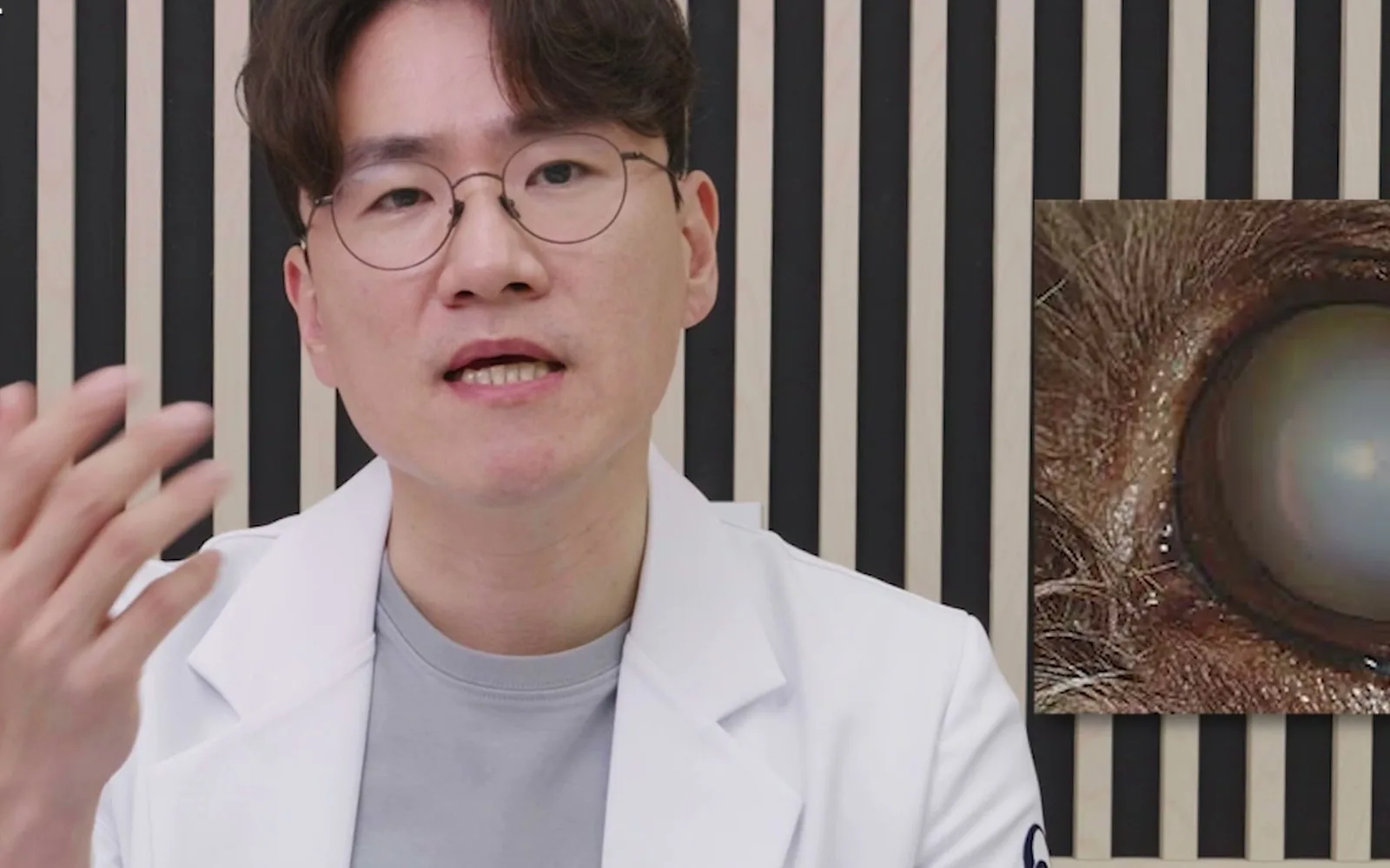 잠 많아진 노령견, 단순한 노화가 아닐 수 있다