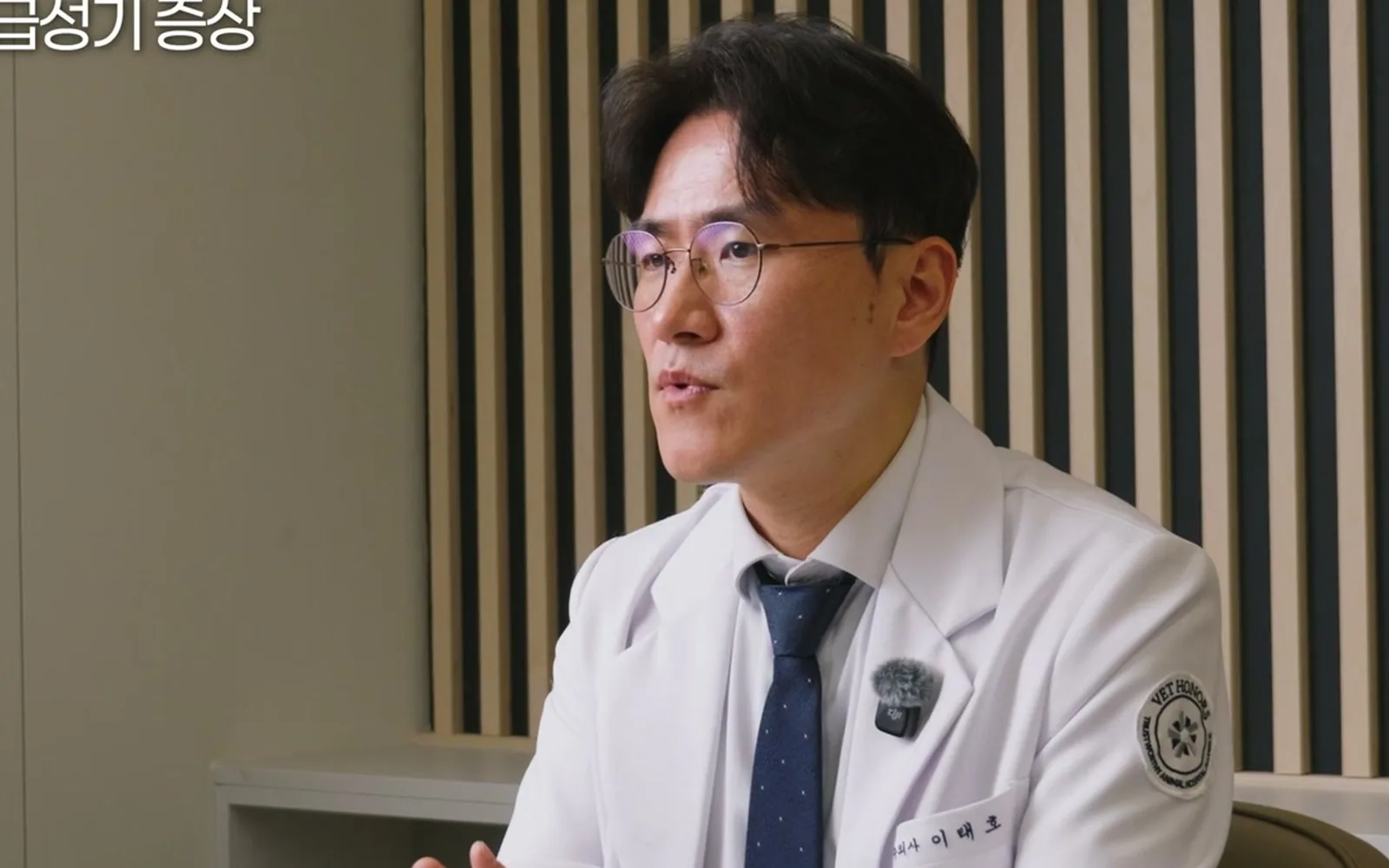 반려동물 급성 신손상, 혈액투석 미루면 생명 위험하다