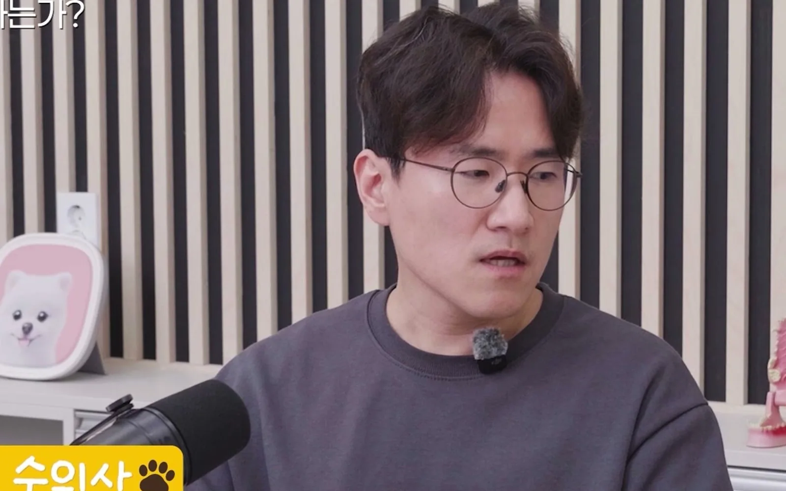 반려동물 안락사 고민, 끝까지 치료하는 게 정답일까?