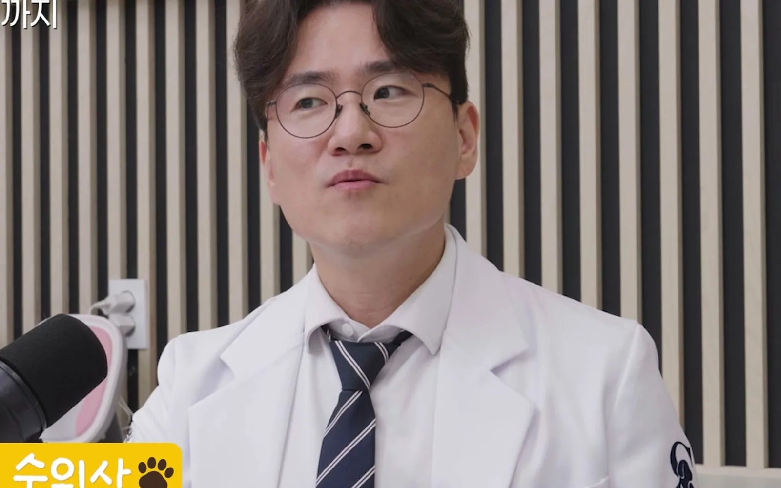 강아지 급성 신부전, 투석은 평생 해야 하는 걸까