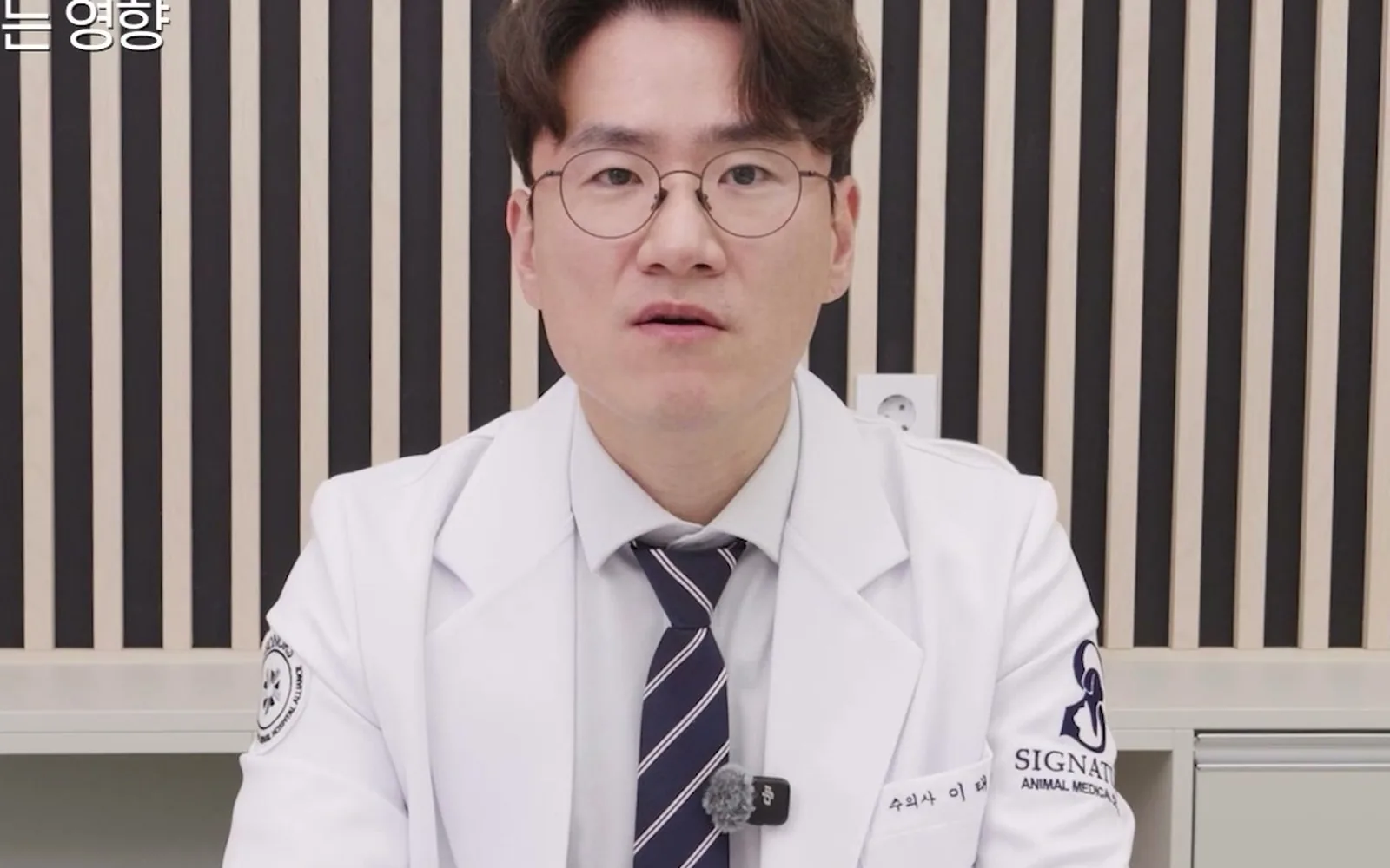 미세먼지 나쁜 날 산책, 강아지는 코털이 없다