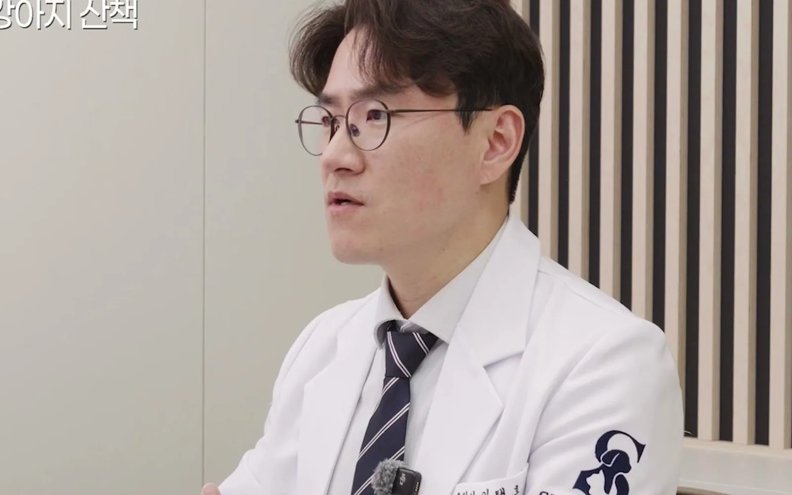 미세먼지 나쁜 날 산책, 강아지는 코털이 없다