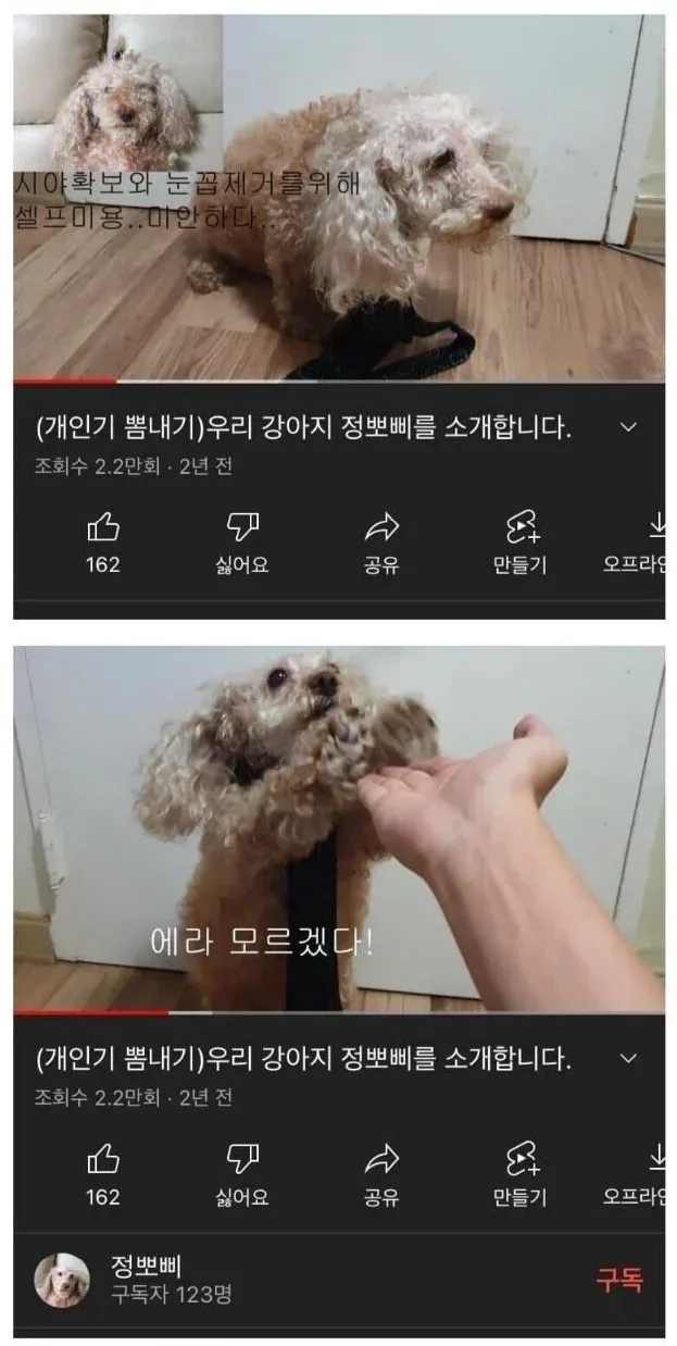 원문 짤