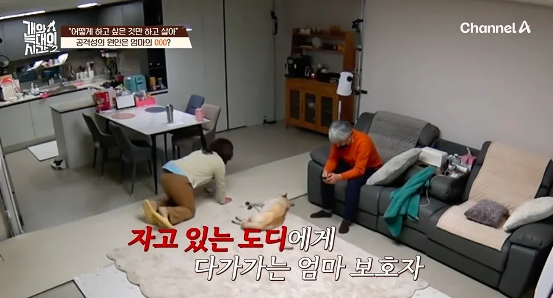 원문 짤