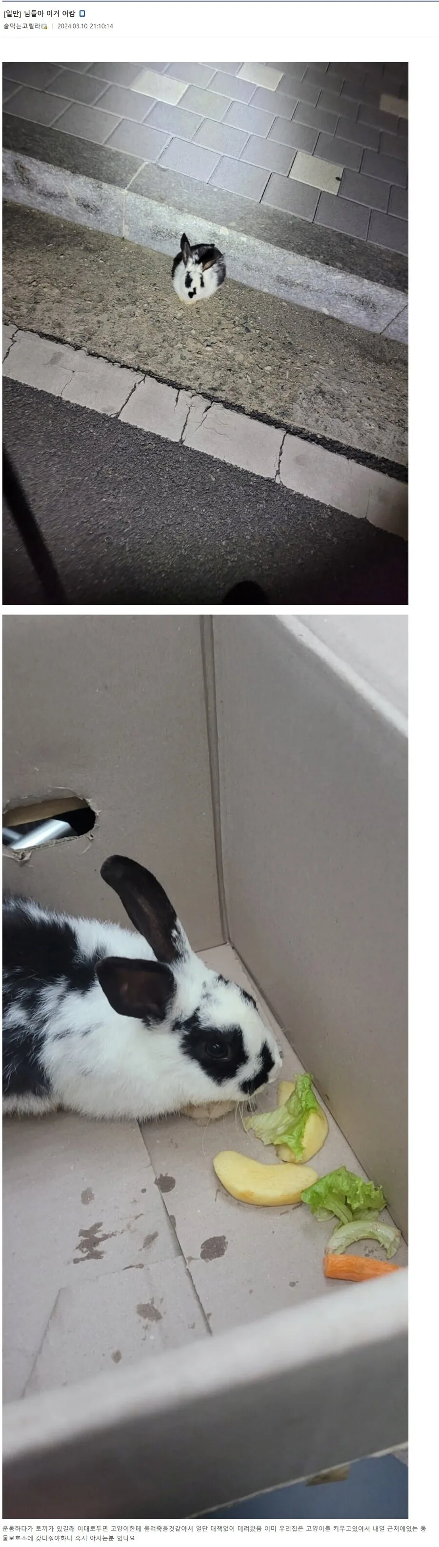 원문 짤