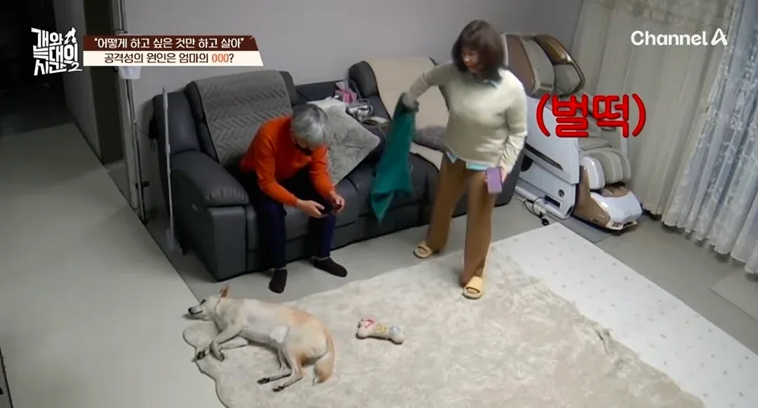 원문 짤