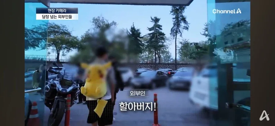 원문 짤