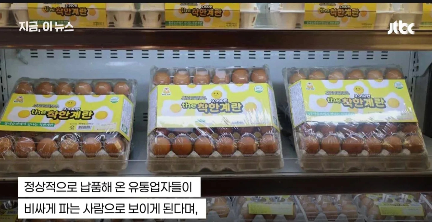 원문 짤