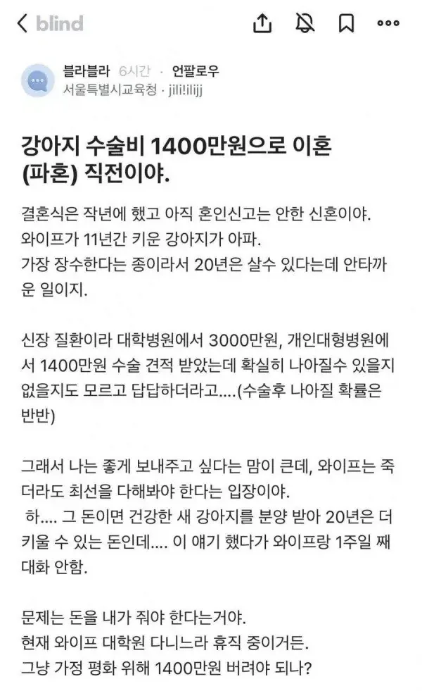원문 짤