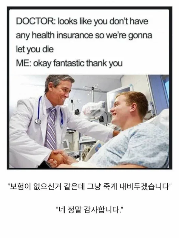 원문 짤