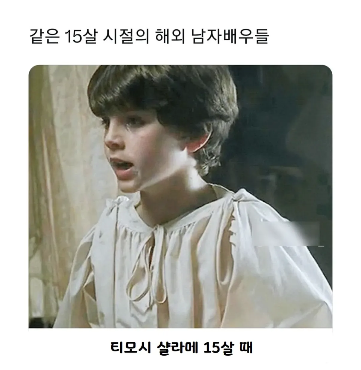 원문 짤