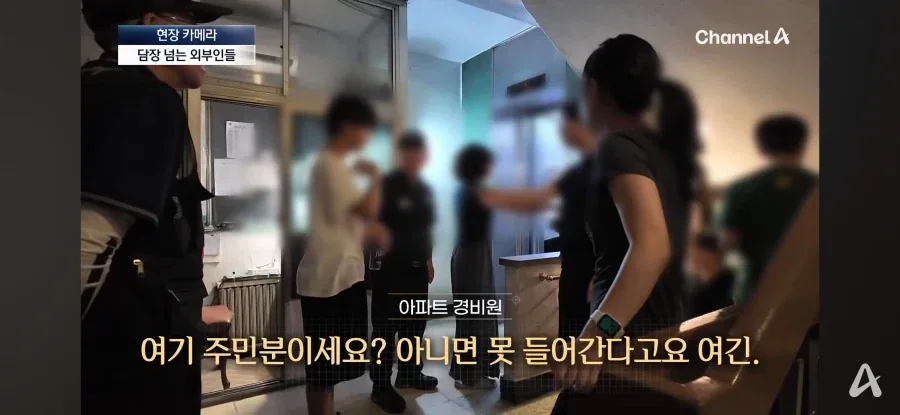 원문 짤