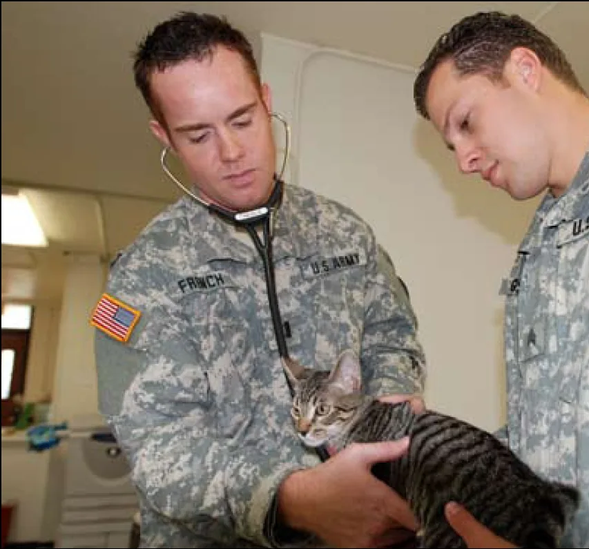Guantanamo pet gets a check-up