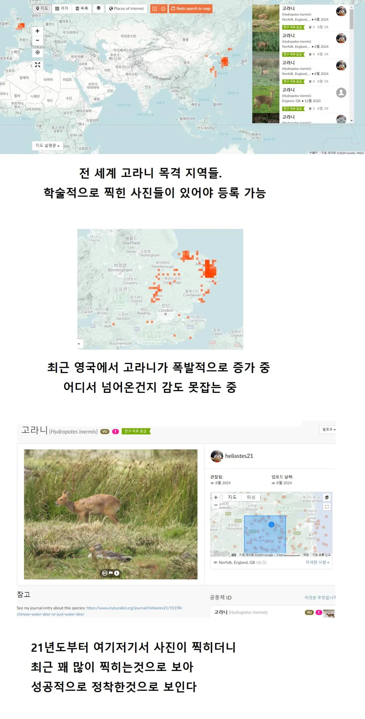 원문 짤