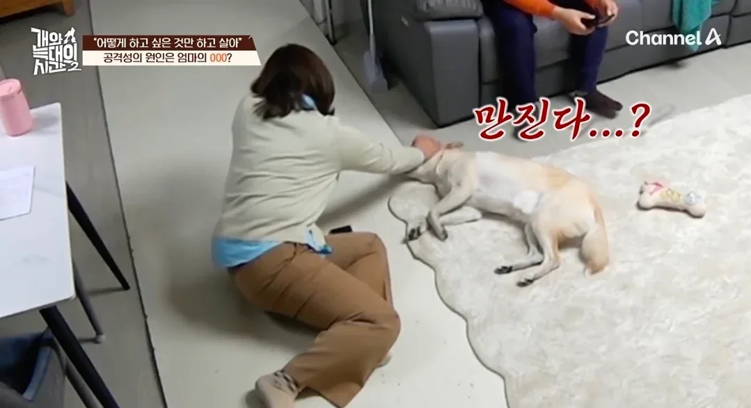 원문 짤