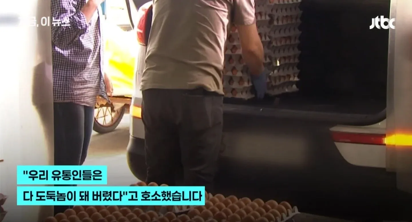 원문 짤
