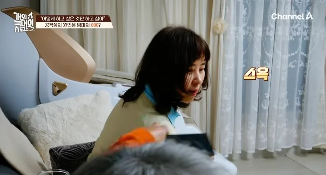 원문 짤