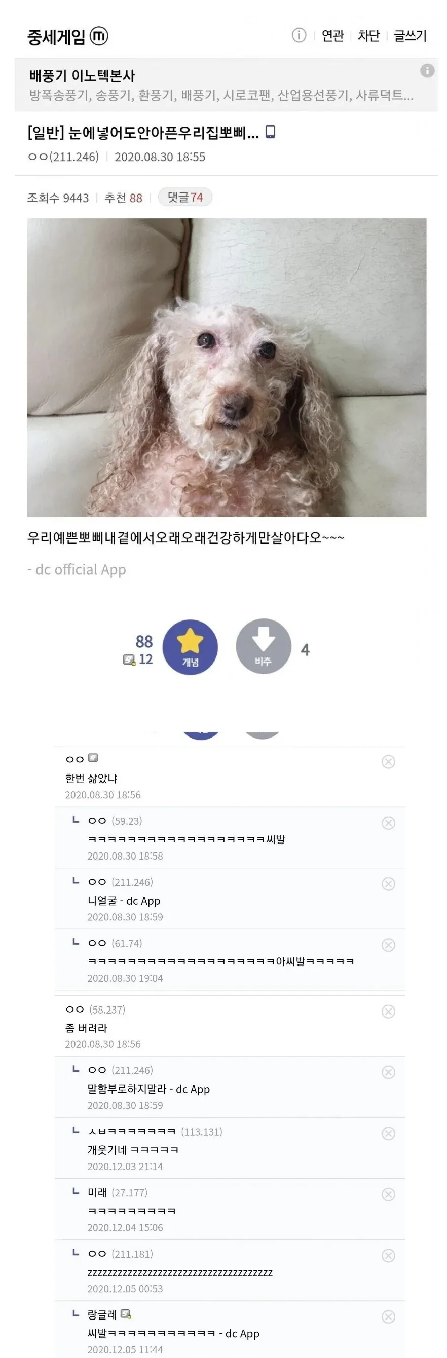 원문 짤