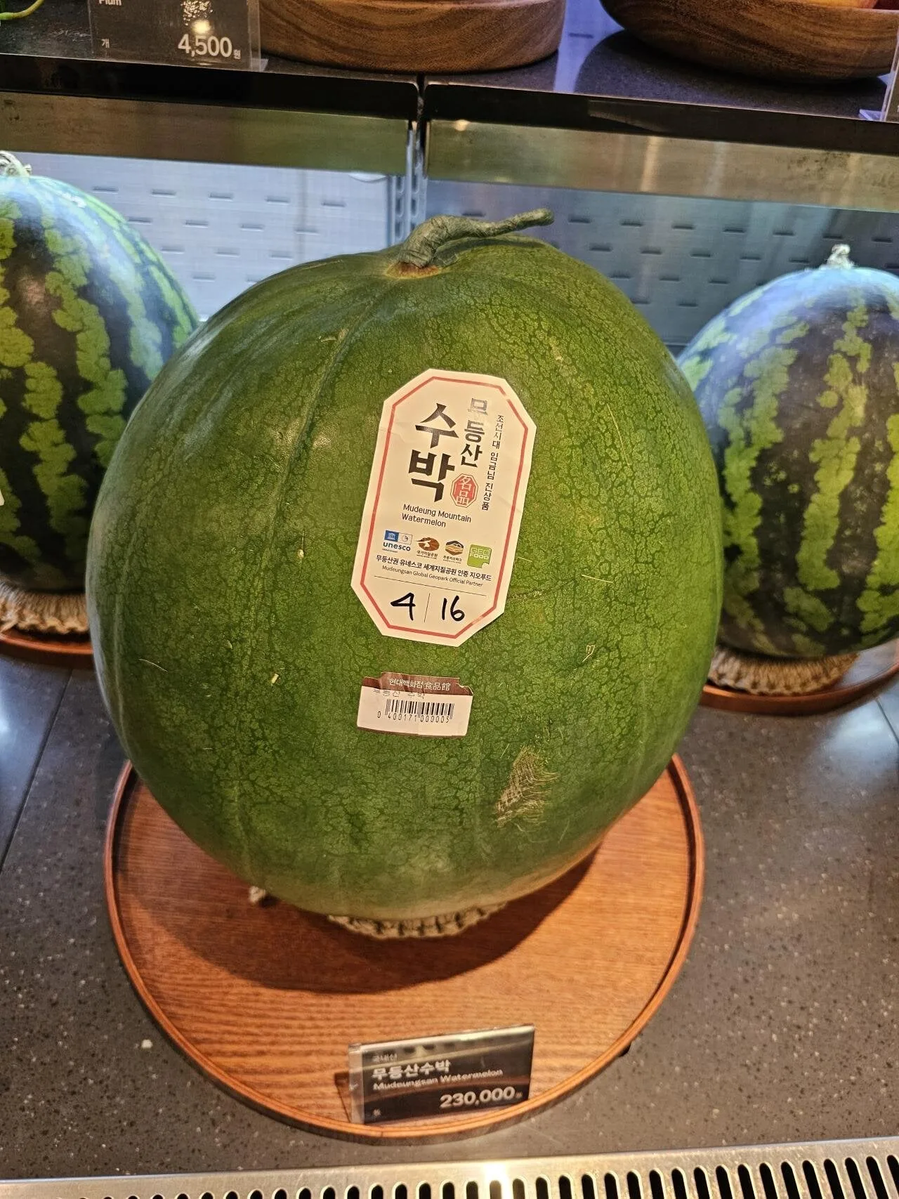 원문 짤