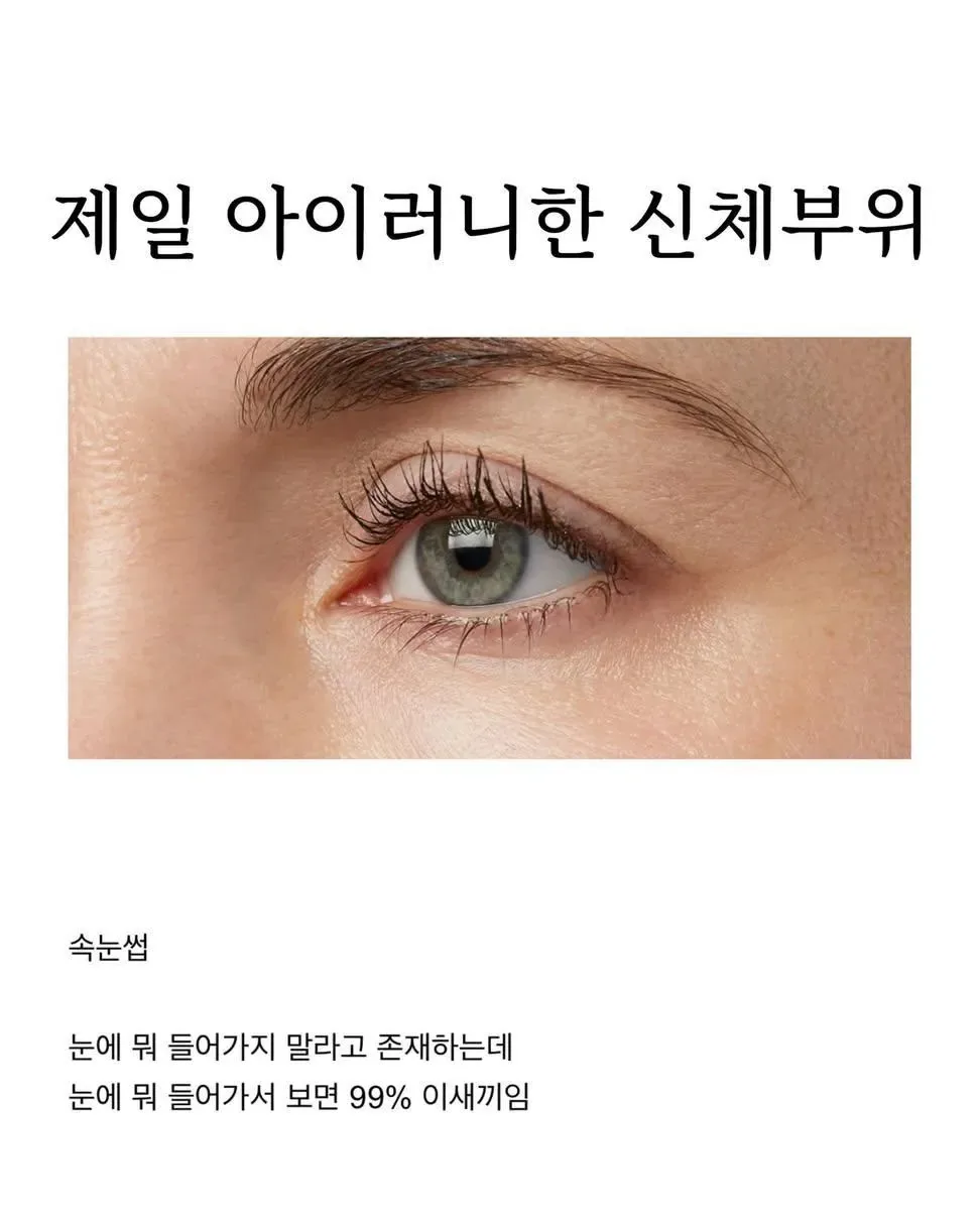 원문 짤