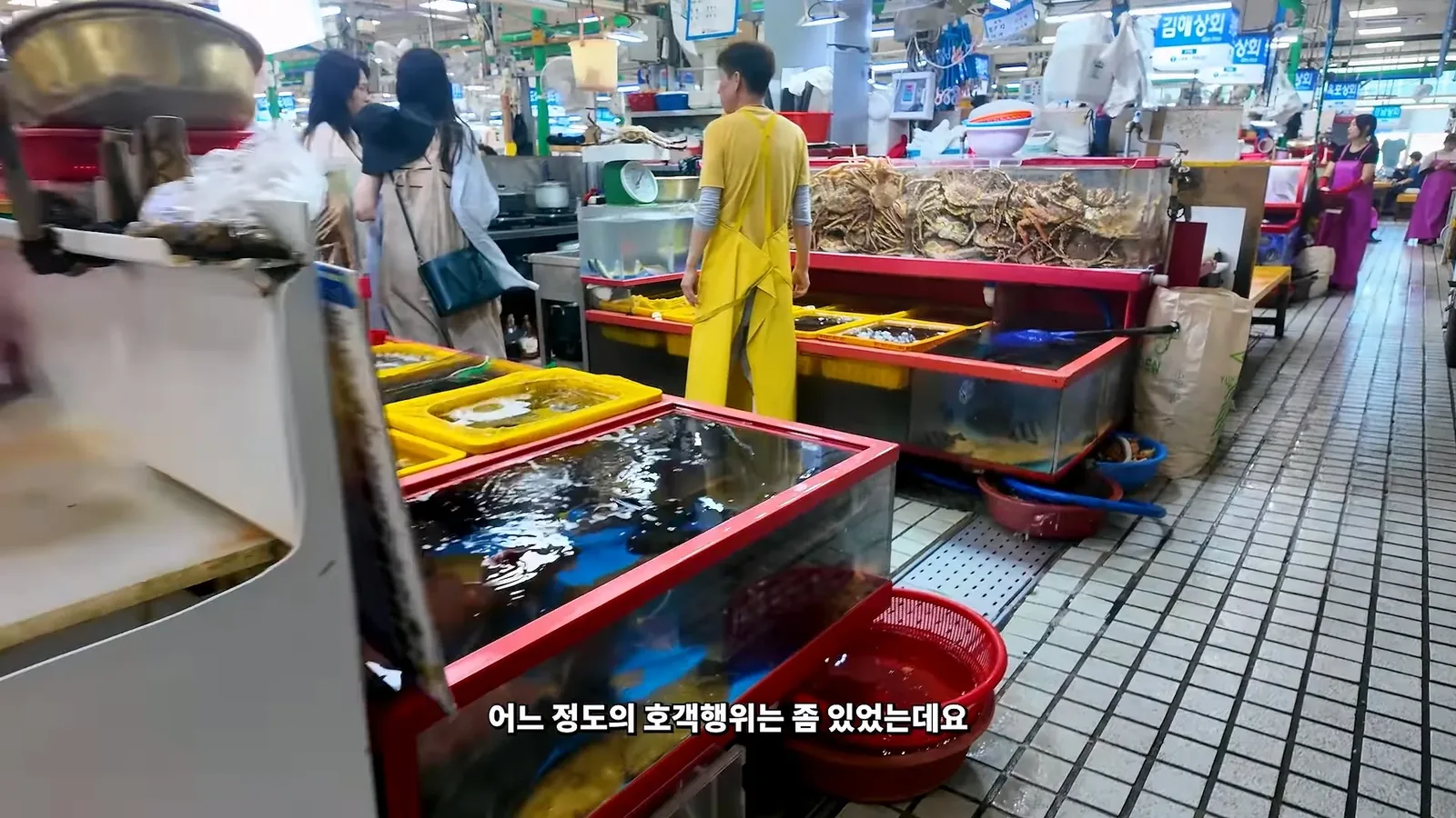 원문 짤