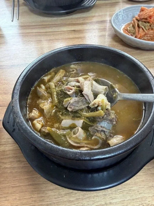 원문 짤