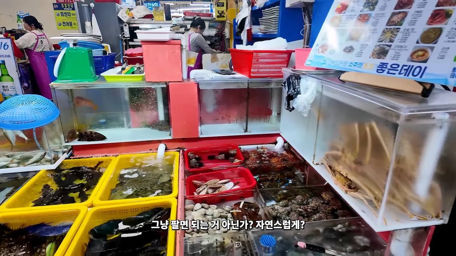 원문 짤