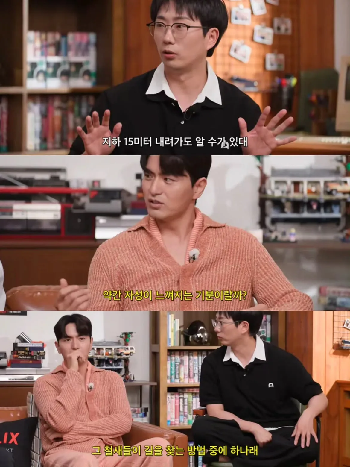 원문 짤