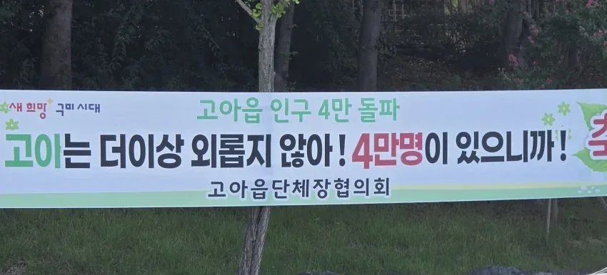 원문 짤