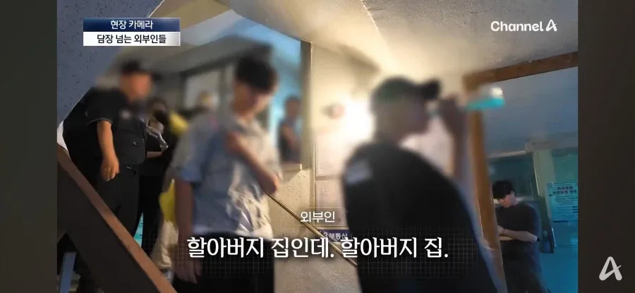 원문 짤