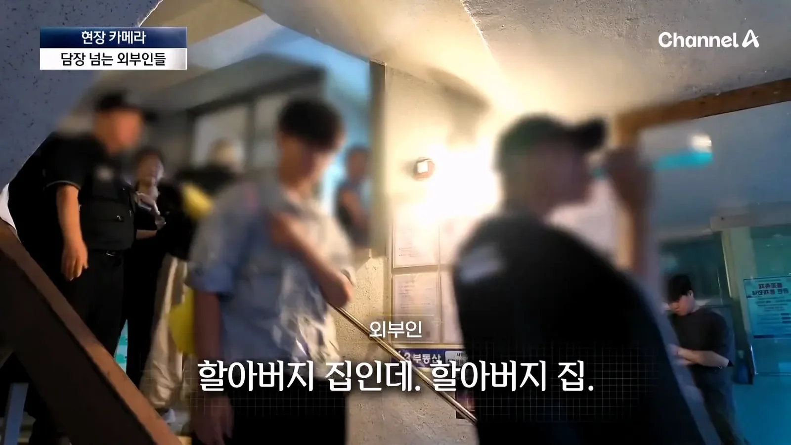원문 짤