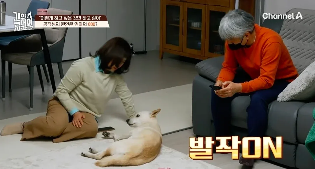 원문 짤