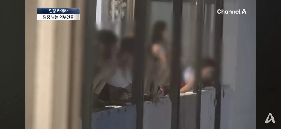 원문 짤
