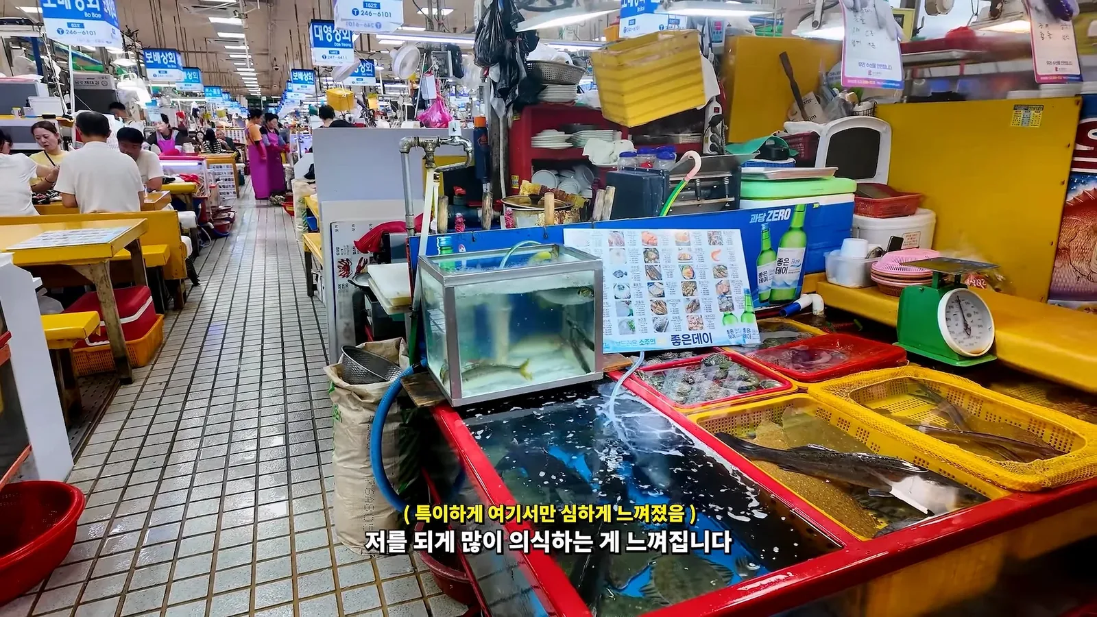 원문 짤